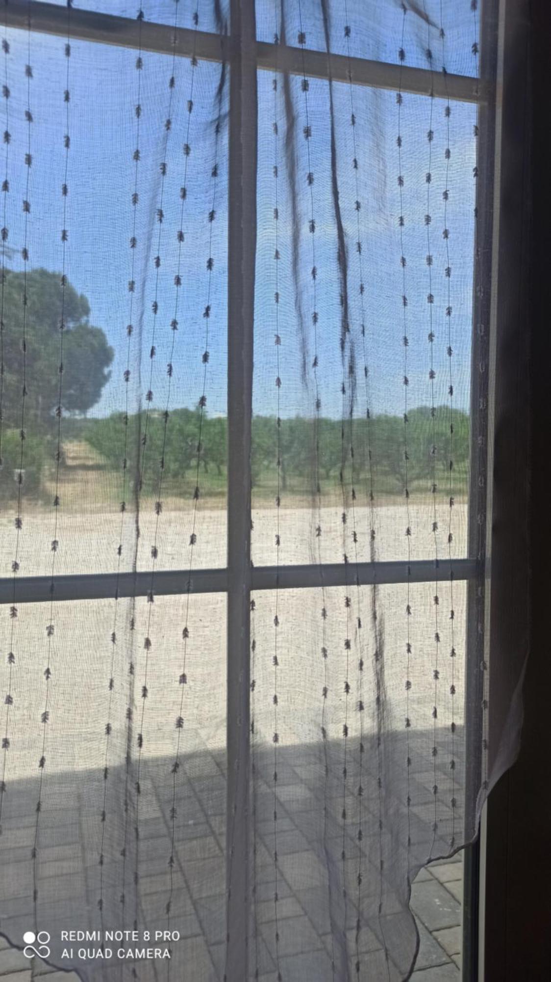 Agriturismo L' Annunziata Lizzano  Szoba fotó